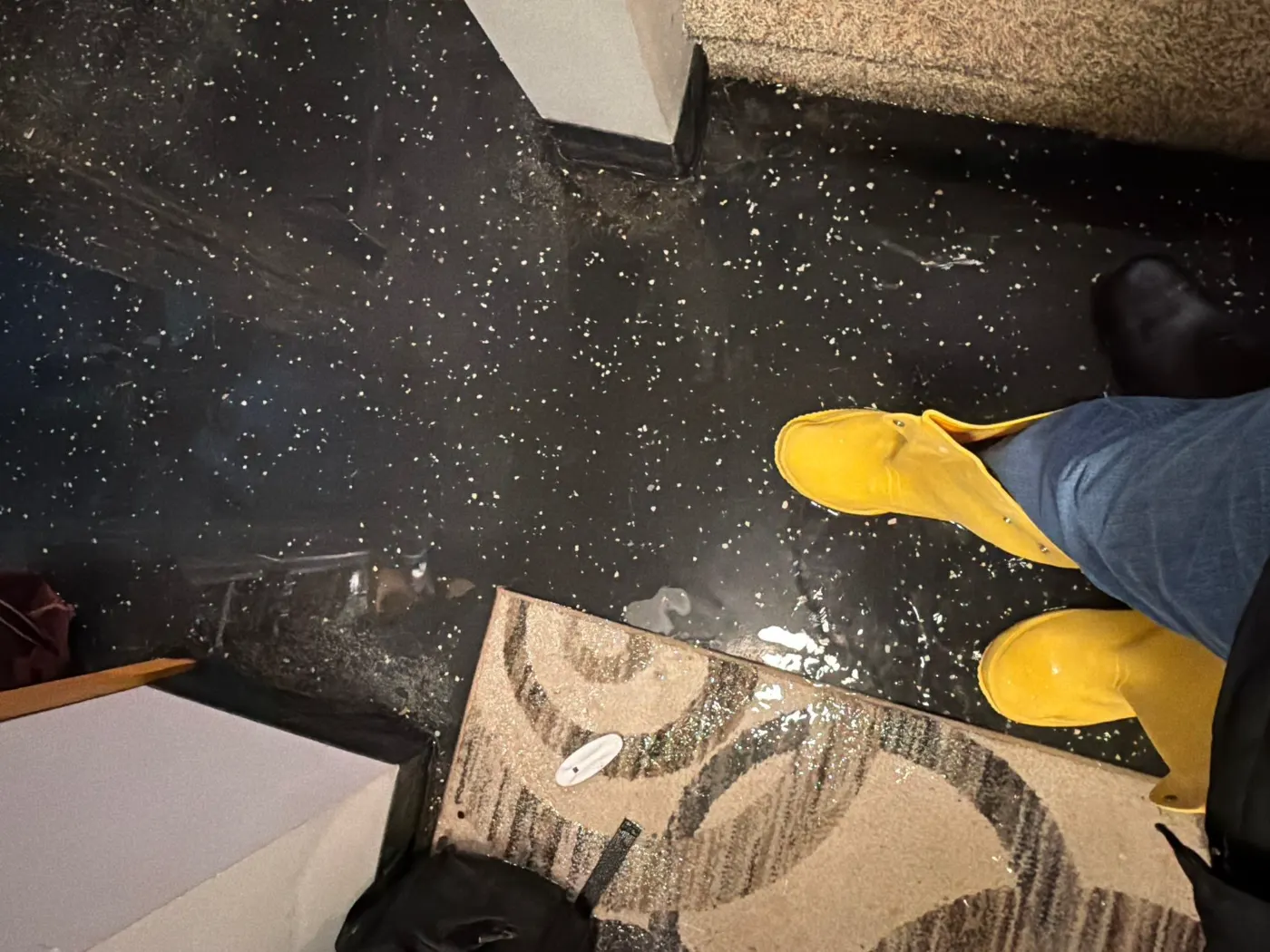 Flooded basement cleanup in Providence Green, Hamilton County